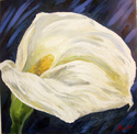 CALLA oil on canvas