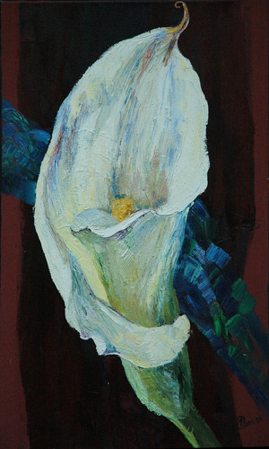 Painting-Oil-WHITE CALLA LILY oil on canvas