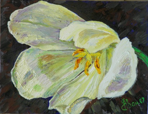 Painting-Oil-TULIP oil on board