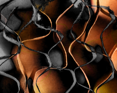 Digital Art-Abstract-Rear View