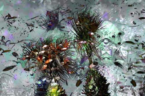 Digital Art-Abstract-Chance and Other Factors