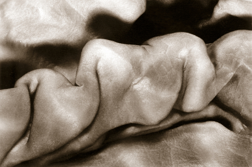 Photography-Abstract-One of Us