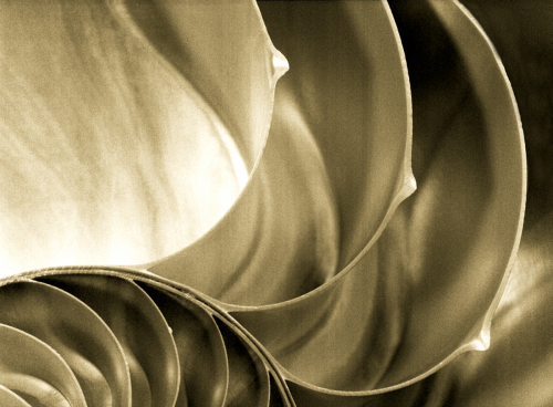 Photography-Abstract-About Wishes and Horses