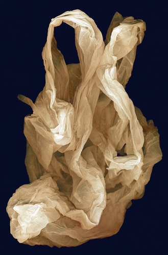 Digital Art-Abstract-Contemplation