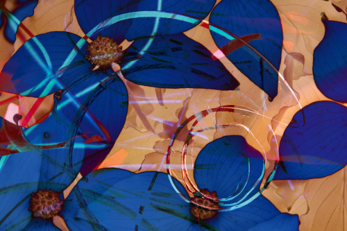Digital Art-Abstract-Disputed Borders