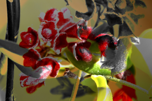 Digital Art-Abstract-Sunday Morning