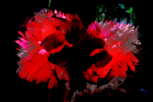 Digital Art-Abstract-The Dancer and the Dance
