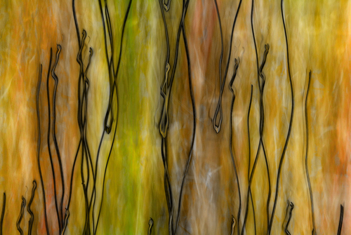 Digital Art-Abstract-Pythia's Utterance