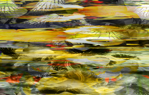 Digital Art-Abstract-Circe's Garden