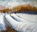 Winter Gardens