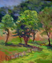 Woodlawn Pasture