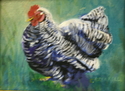 Heritage Chicken