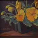 Pansy 4 Pack