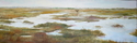 Wetlands Vista