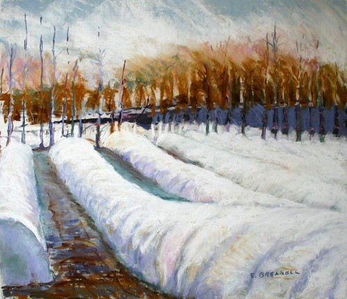 Winter Gardens