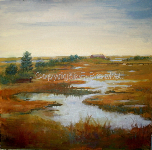 Wetlands - Stone Harbor