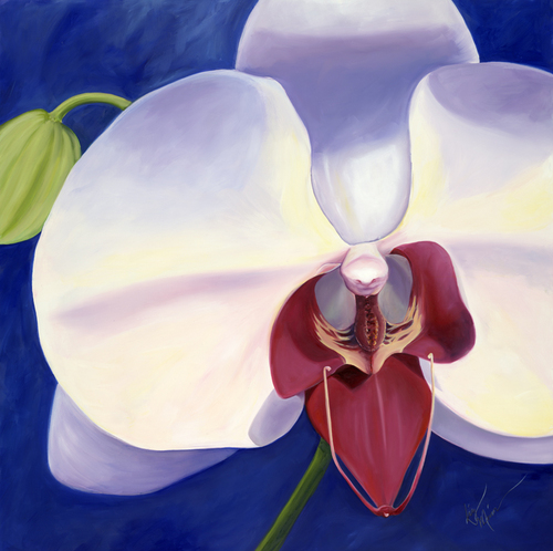 Painting-Floral-Alberto's Orchid