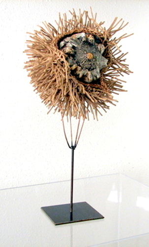 Sculpture-Abstract-Sea Urchin