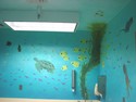 Other-Aquarium Mural