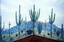 Other-desert scene