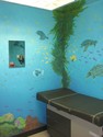 Other-Aquarium Mural