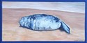 Painting--Acrylic-Wildlife