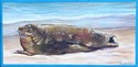 Painting--Acrylic-Wildlife