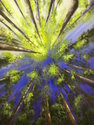 1%20Chronicles%2016%3A33%20-%20The%20Forest%20Sings (thumbnail)