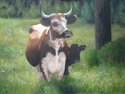 Florida%20Cracker%20Cow (thumbnail)