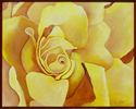 Lost in the Petals