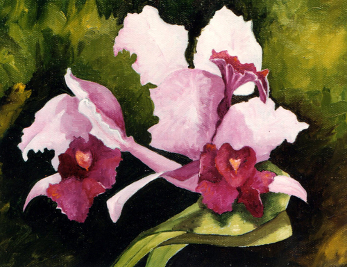 Painting-Oil-Judy's Orchid