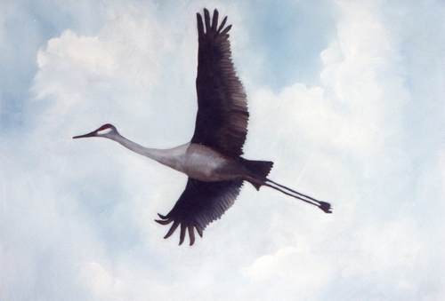 Painting-Oil-Sandhill Solo