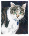 Elliott Everson - Animals Drawing Maria,Drawing,Colored pencil,Animals - Animals Drawing