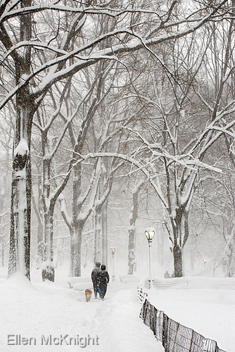Photography-Silent Storm