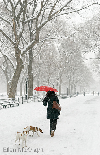 Photography-Winter Walk
