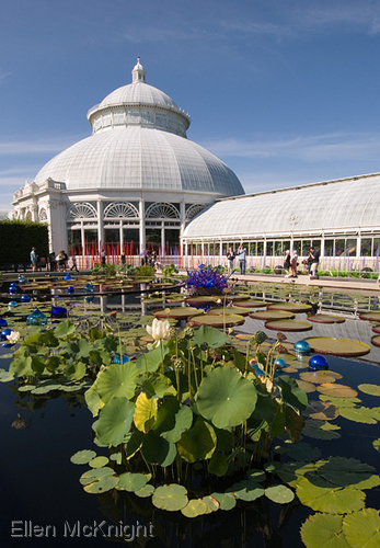 Photography-NY Botanical Garden