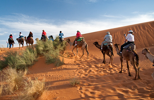Photography-Camel Ride