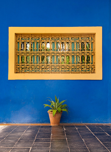 Photography-Marjorelle Garden