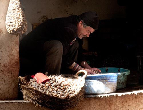 Photography-Preparing Snails