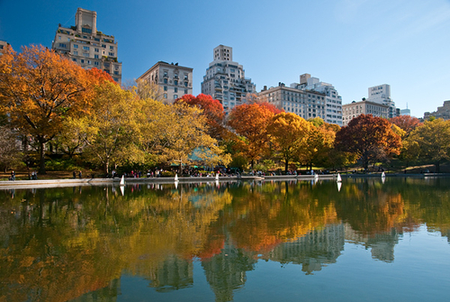 Photography-Fifth Avenue Reflections