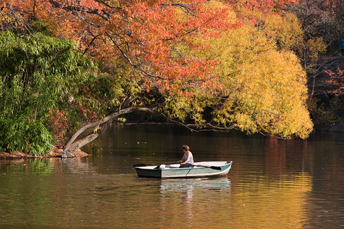 Photography-Woman Rowing