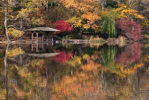 Photography-Autumn Reflections