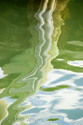 Green%20Study%201 (thumbnail)