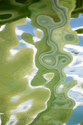 Green%20Study%202 (thumbnail)