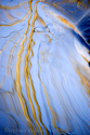 Quaking%20Branches (thumbnail)