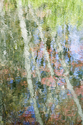 Autumn%20Impression%202 (thumbnail)