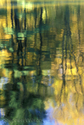 Autumn%20Trees%201 (thumbnail)