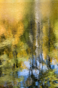 Autumn%20Trees%202 (thumbnail)