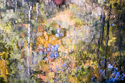 October%20Reflection%201 (thumbnail)