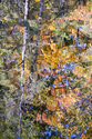 October%20Reflection%203 (thumbnail)